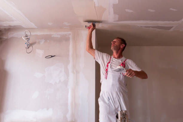 Best Drywall Sanding and Smoothing  in Millers Creek, NC